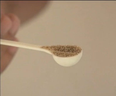 Feira não tem larvicida para combater chikungunya