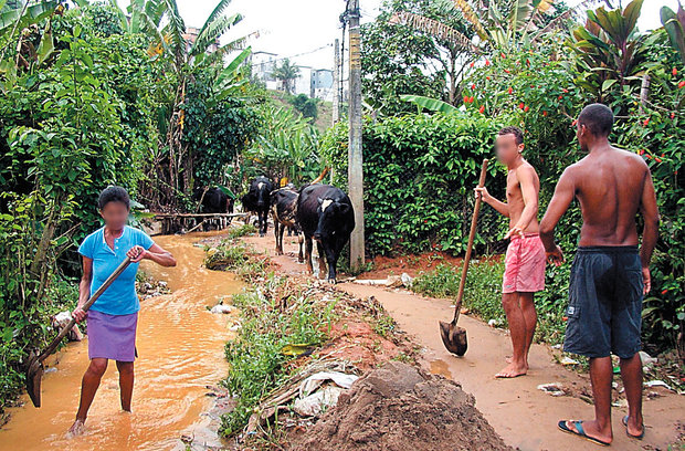 Fiocruz baiana cria teste rápido para leptospirose