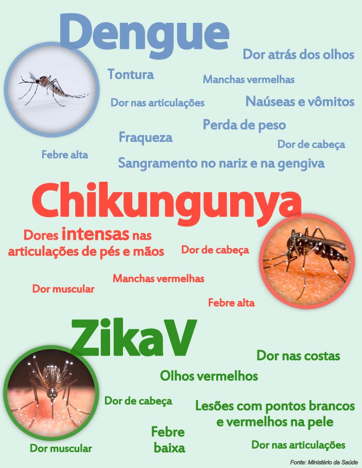 Saúde discute situação da dengue, chikungunya e zika