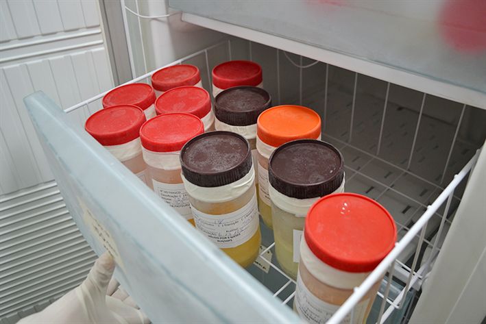 Semana de Aleitamento Materno vai incentivar doações