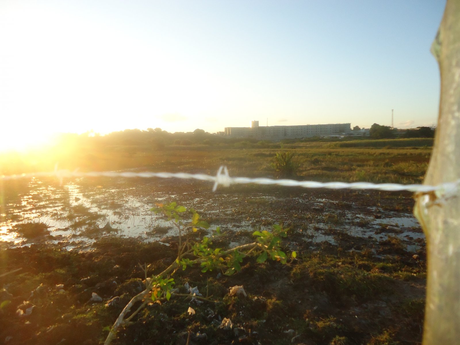 Loteamento irregular na Lagoa Salgada é vendido há décadas