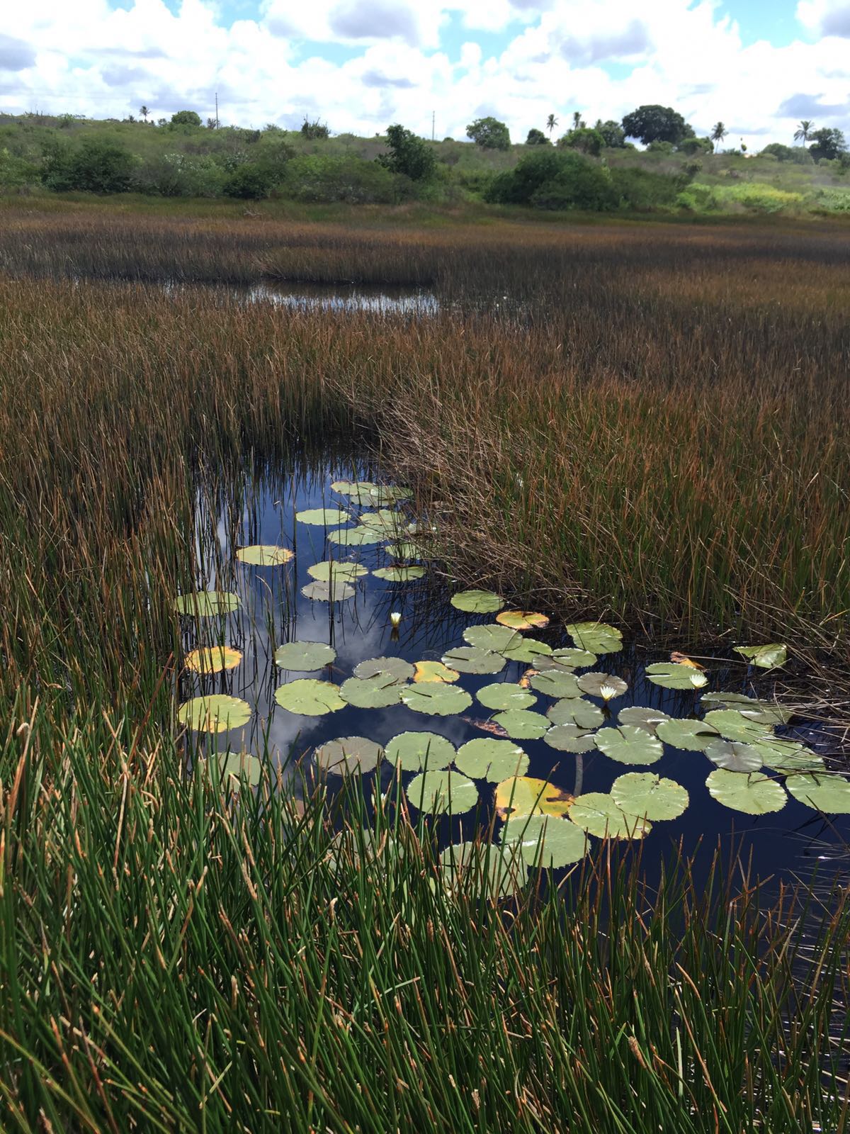 Uma ciclovia para a Lagoa Salgada