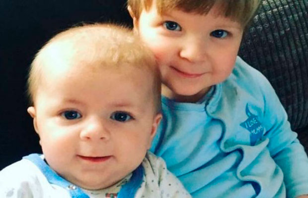 Cachorro retira bebê do colo da mulher e mata criança; irmão e mãe ficaram feridas