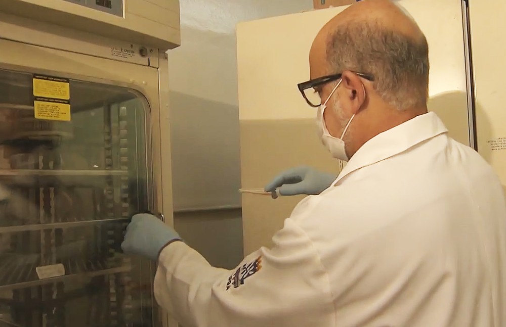 Doença da urina preta foi causada por intoxicação após ingestão de peixe, diz estudo