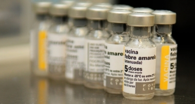 Vírus da febre amarela no Brasil tem mutação genética inédita, diz Fiocruz
