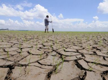 Estiagem e seca deixam 45% dos municípios baianos em estado de emergência