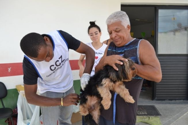 Quase 50 mil animais ainda não foram vacinados contra raiva