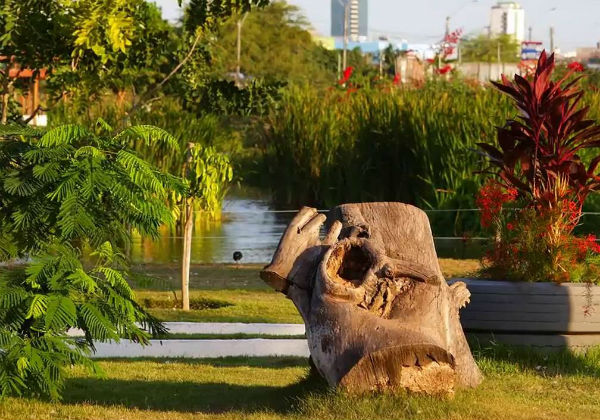 Novembro Azul será encerrado no Parque da Lagoa nesse domingo