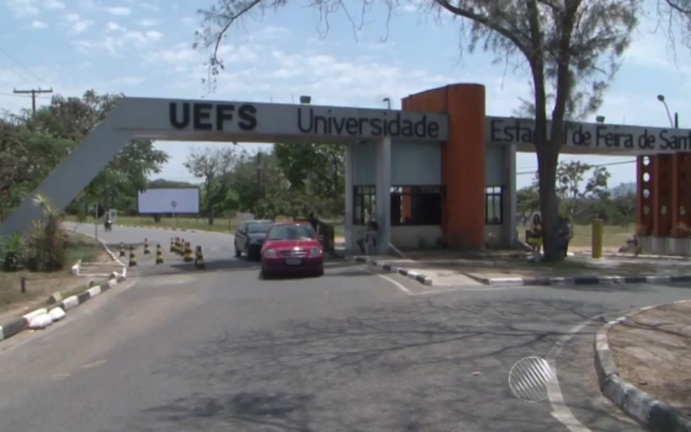 Empresa Júnior da Uefs abre processo seletivo para trainee; confira
