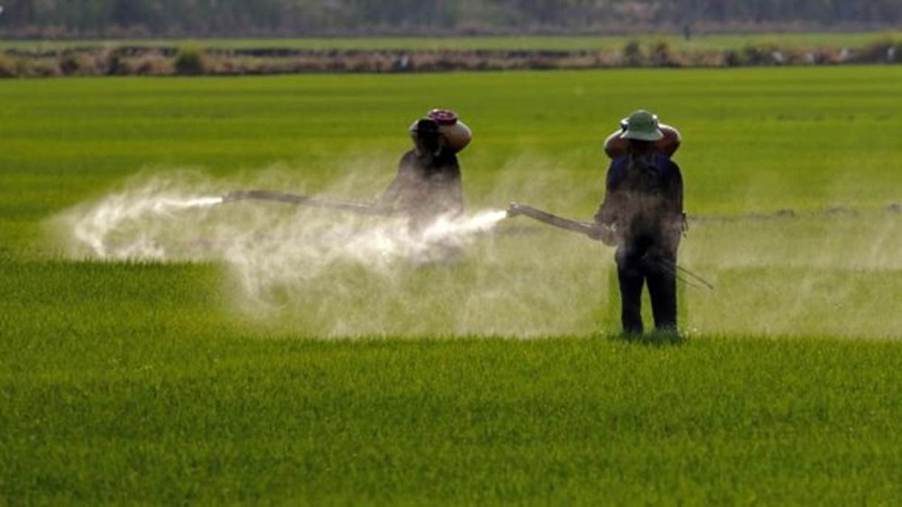 Governo aprova registro de mais 51 agrotóxicos, totalizando 262 no ano