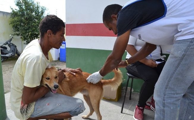 CCZ vacina cães e gatos contra a raiva neste sábado