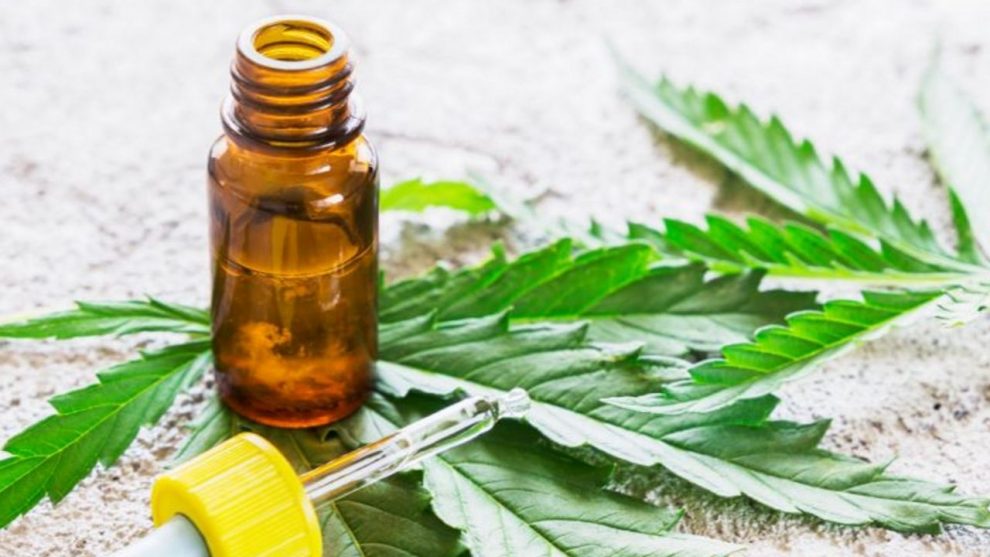 Diretor da Anvisa admite que foi pressionado a desistir de liberar Cannabis medicinal