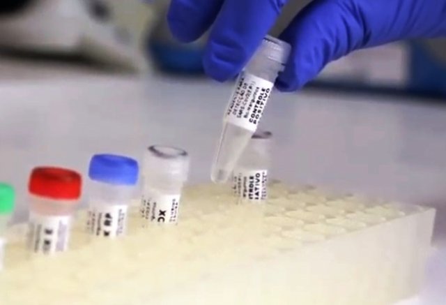 Reabertura de Salvador só deve ocorrer quando taxa de ocupação de UTI atingir 60%