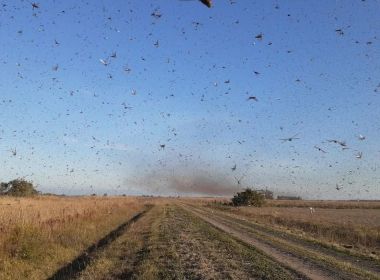 Brasil registra 2.074.860 pessoas infectadas pelo novo coronavírus