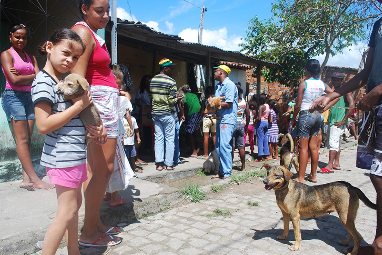 Vacinação contra raiva animal nos bairros começa neste sábado
