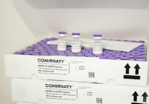 Novo lote com mais de 527 mil doses de vacina da Pfizer chega ao Brasil nesta quinta