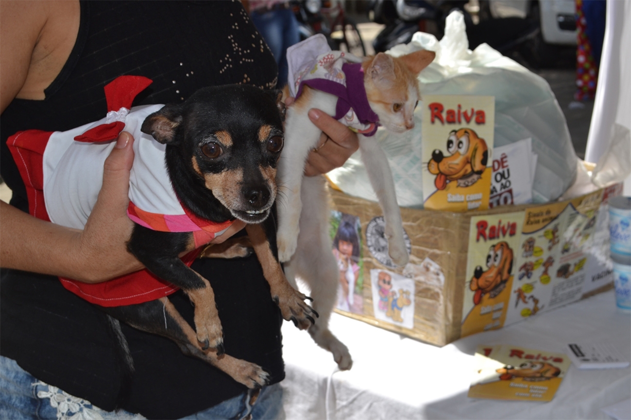 Vacinação contra raiva animal é intensificada em FSA; Mais de 5 mil cães e gatos já foram imunizados