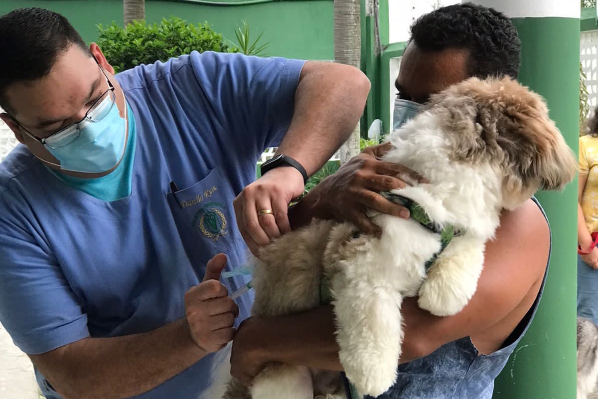Sábado é dia de vacinar cães e gatos contra a raiva, em Feira de Santana