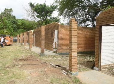 Salvador terá primeiro hospital público veterinário do estado