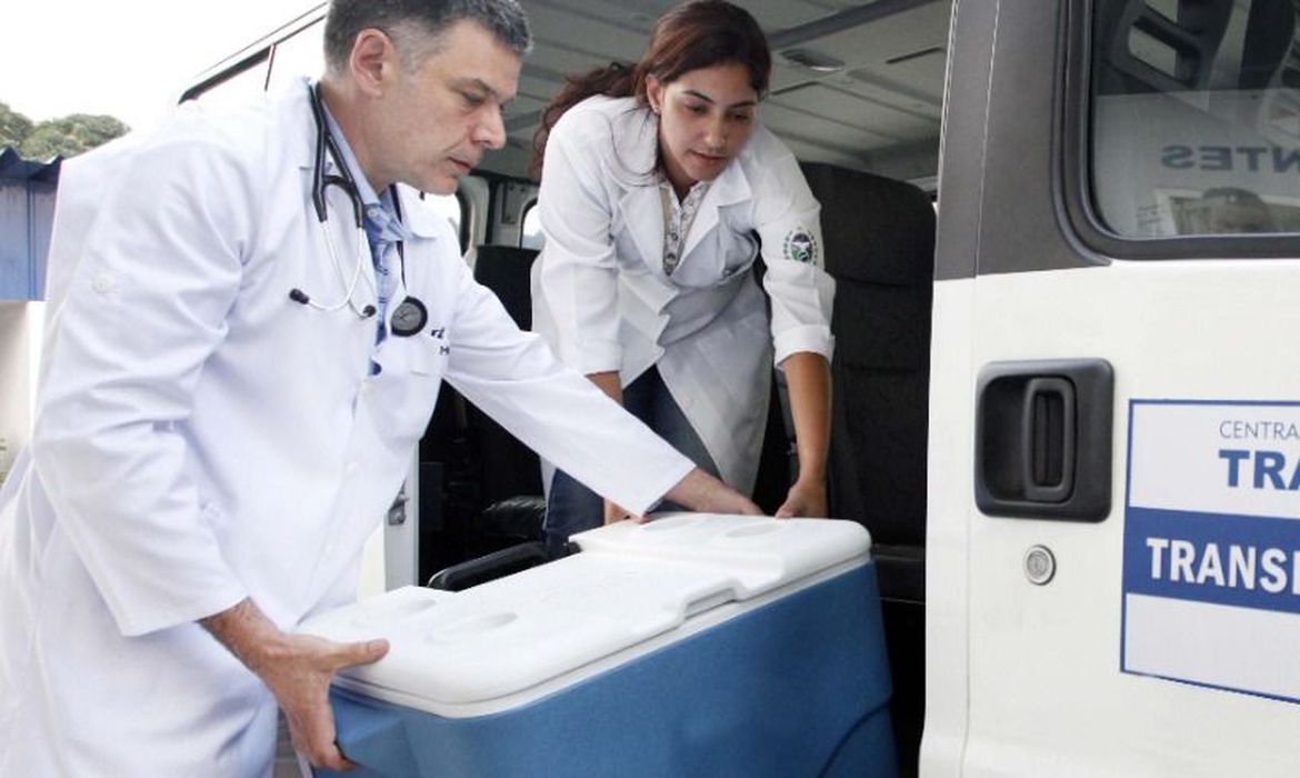 Pandemia de Covid-19 diminui, pela metade, transplantes de córnea no Brasil   