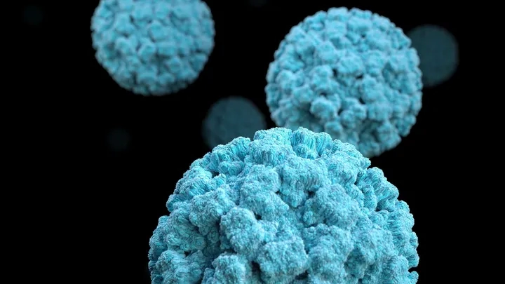 Vírus de alta capacidade infecciosa adoece soteropolitanos