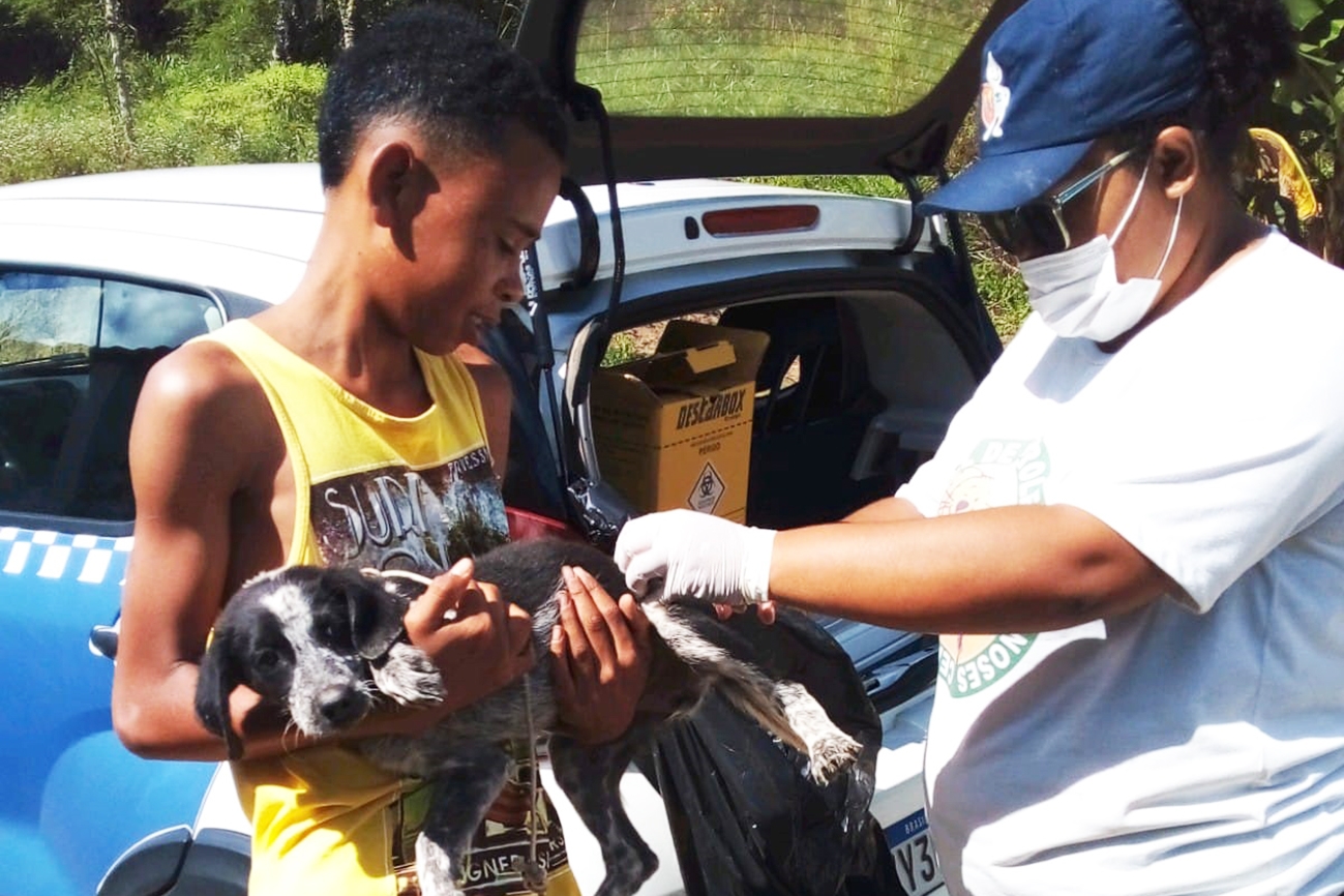 Vacinação de cães e gatos contra a raiva será realizada em 12 bairros de FSA, neste sábado (13)