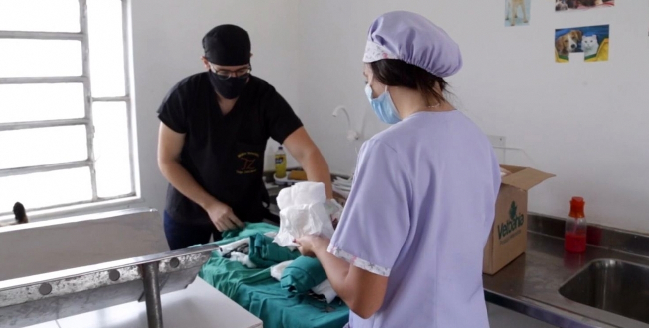 Centro de Zoonoses realizou castração de 1.750 animais, este ano, em Feira