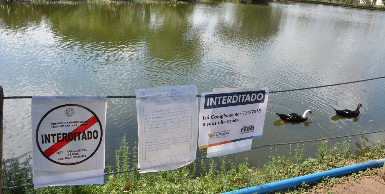 Vírus do cólera no Parque Erivaldo Cerqueira ameaça sobrevivência de pescadores; Embasa deve ser investigada