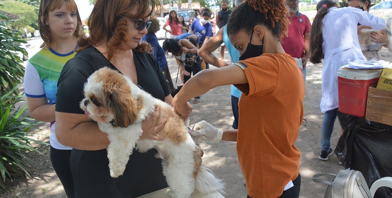 Vacinação de cães e gatos contra a raiva nas unidades de saúde na próxima semana