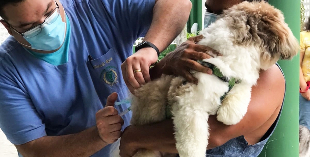 Em três meses, Centro de Zoonoses de FSA vacinou mais de 5 mil animais contra a raiva
