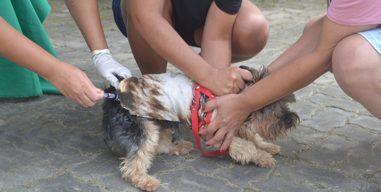 Vacinação contra a raiva em dez bairros de Feira de Santana, neste sábado
