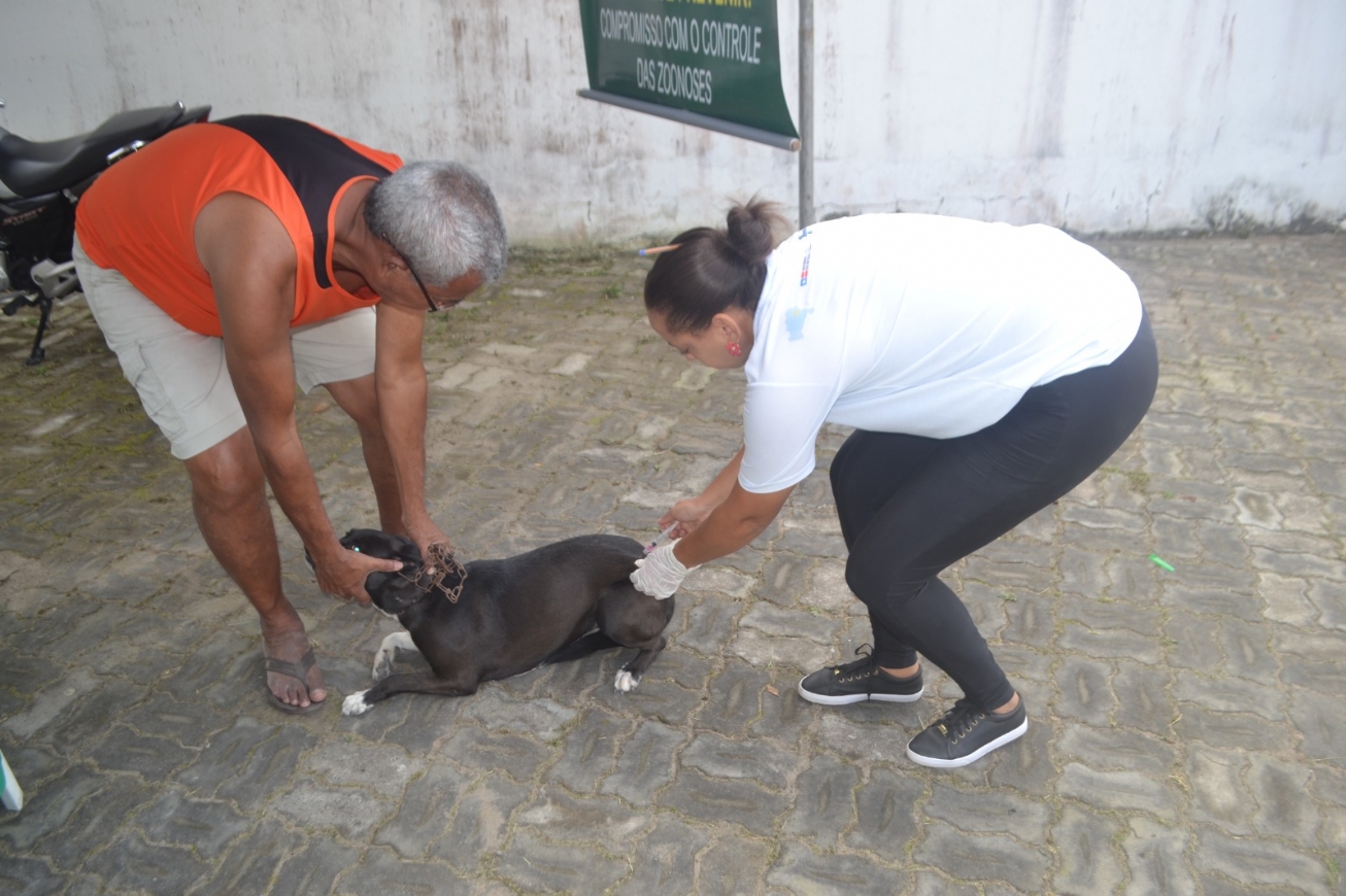 Mais dois casos de raiva são confirmados em Feira de Santana; governo intensifica vacinação de animais