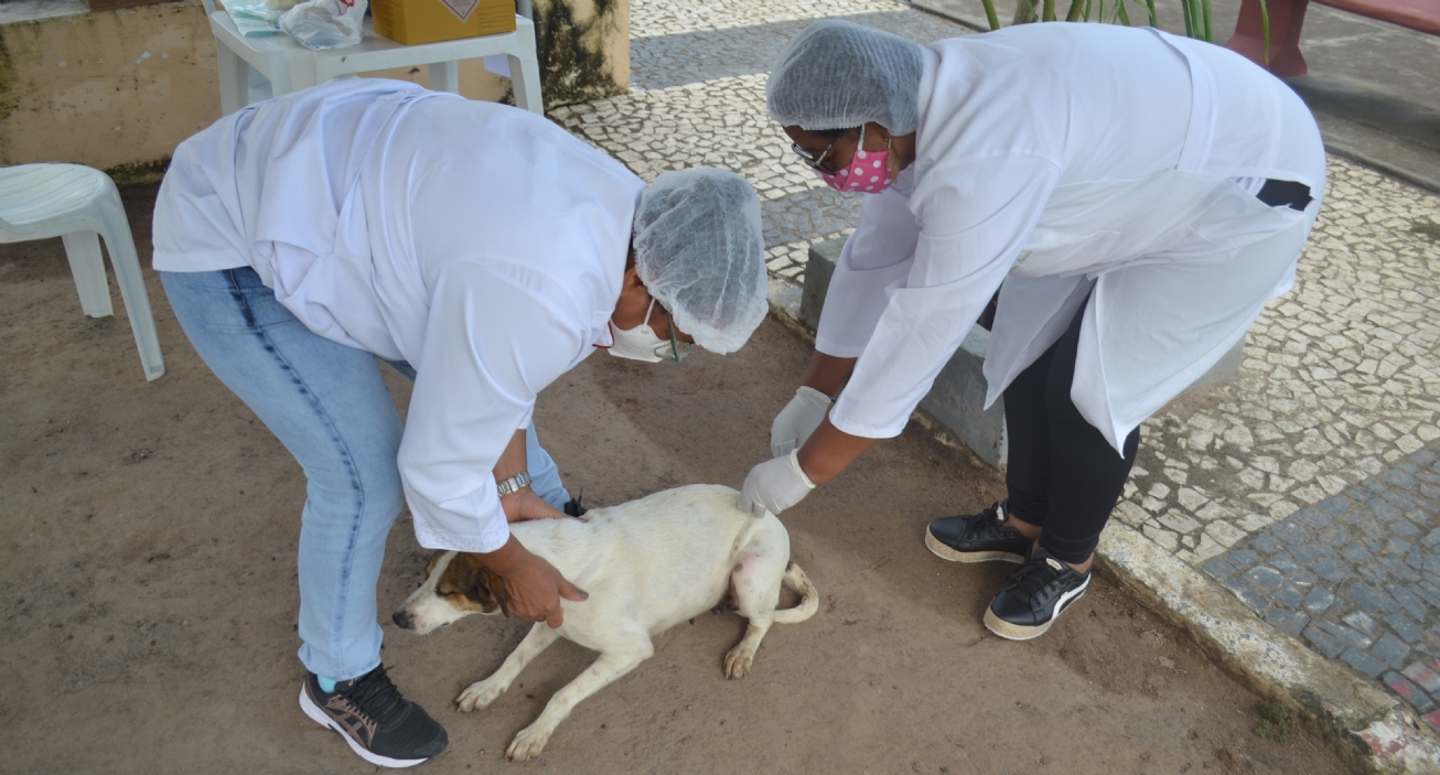 Centro de Zoonoses de FSA intensifica vacinação contra a raiva, nas unidades de saúde municipais