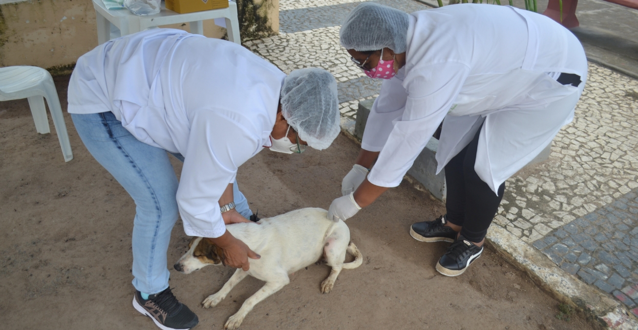 Em Feira, mais quatro bairros são contemplados com a vacina contra a raiva nesta semana