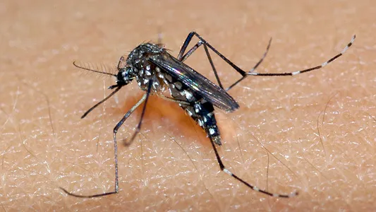 Secretaria da Saúde da Bahia confirma sétima morte por dengue