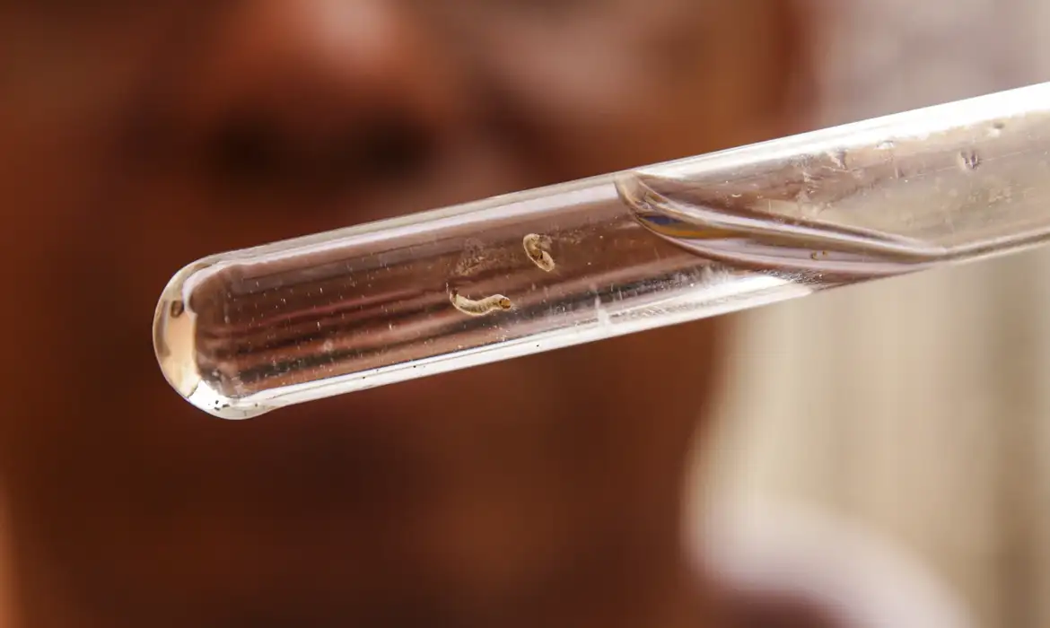Brasil registra mais de 4 milhões de casos de dengue; mortes chegam a 1.937