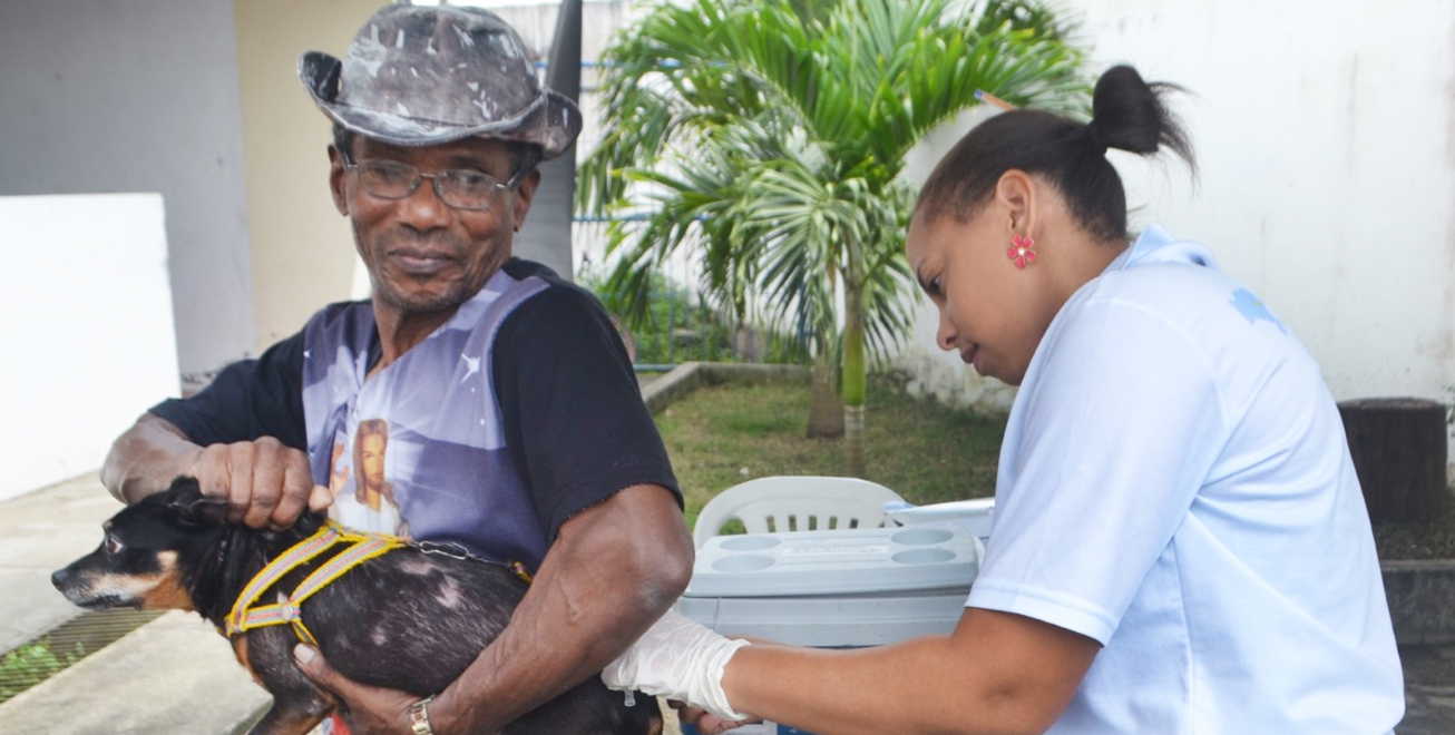 Prefeitura de Feira dá seguimento à campanha de vacinação contra a raiva animal; confira o cronograma