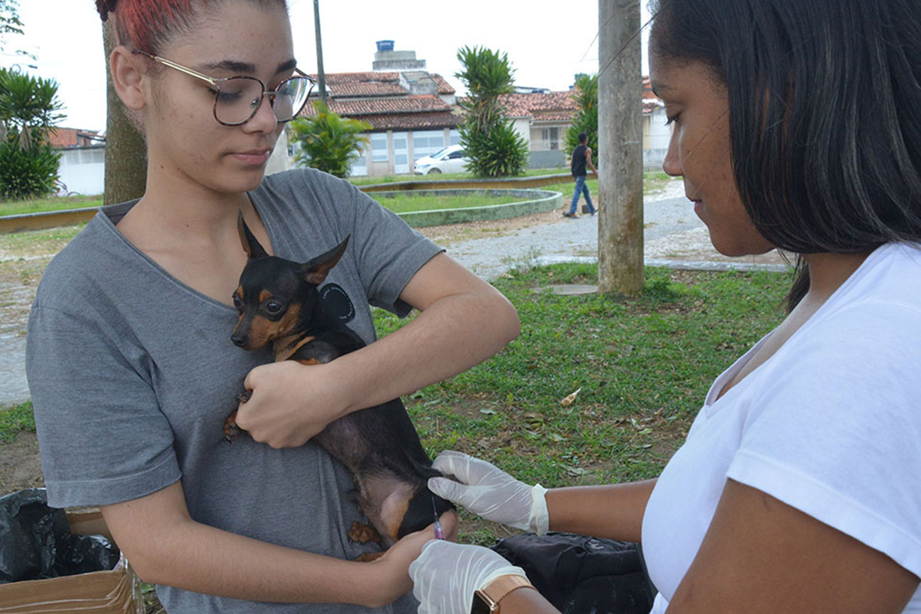 Prefeitura de Feira intensifica vacinação antirrábica em seis bairros, no sábado (3)