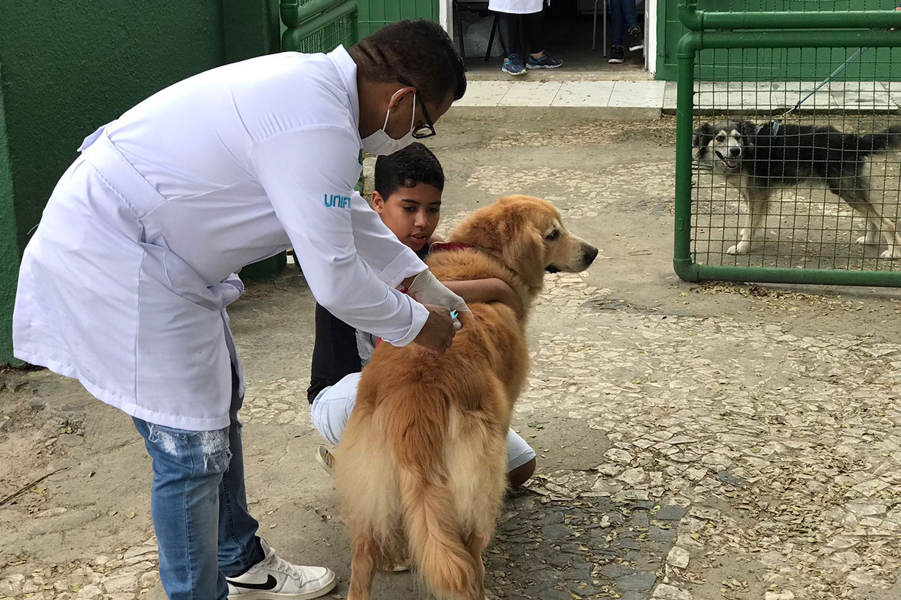 Vacinação contra a raiva é intensificada no distrito de Humildes e em mais quatro bairros de FSA
