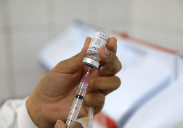 Vacina brasileira contra gripe aviária em humanos entra em fase de testes