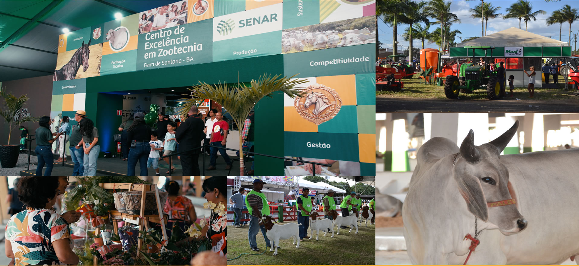 Expofeira 2025 já tem hotsite com programação e novidades; evento ocorre de 7 a 14 de setembro