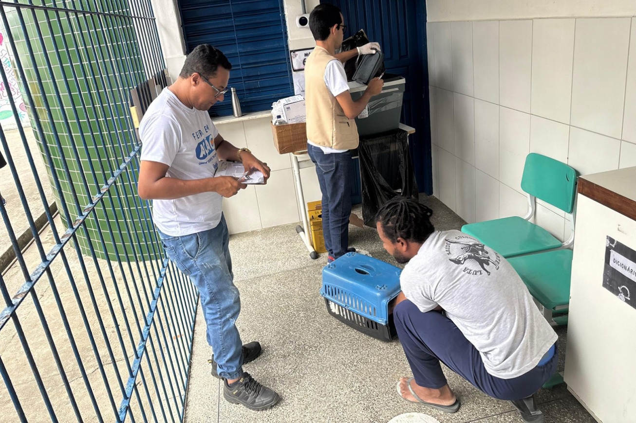 Feira de Santana promove vacinação antirrábica gratuita neste sábado em seis bairros
