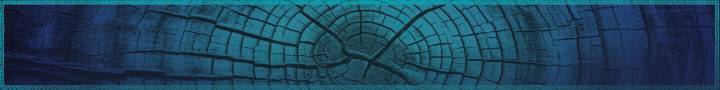 Banner araia de feira