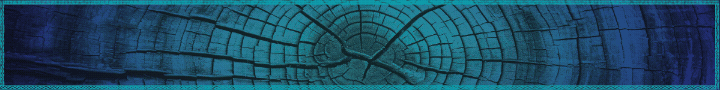 NOVO BANNER ARRAIA 15.06 PMFS