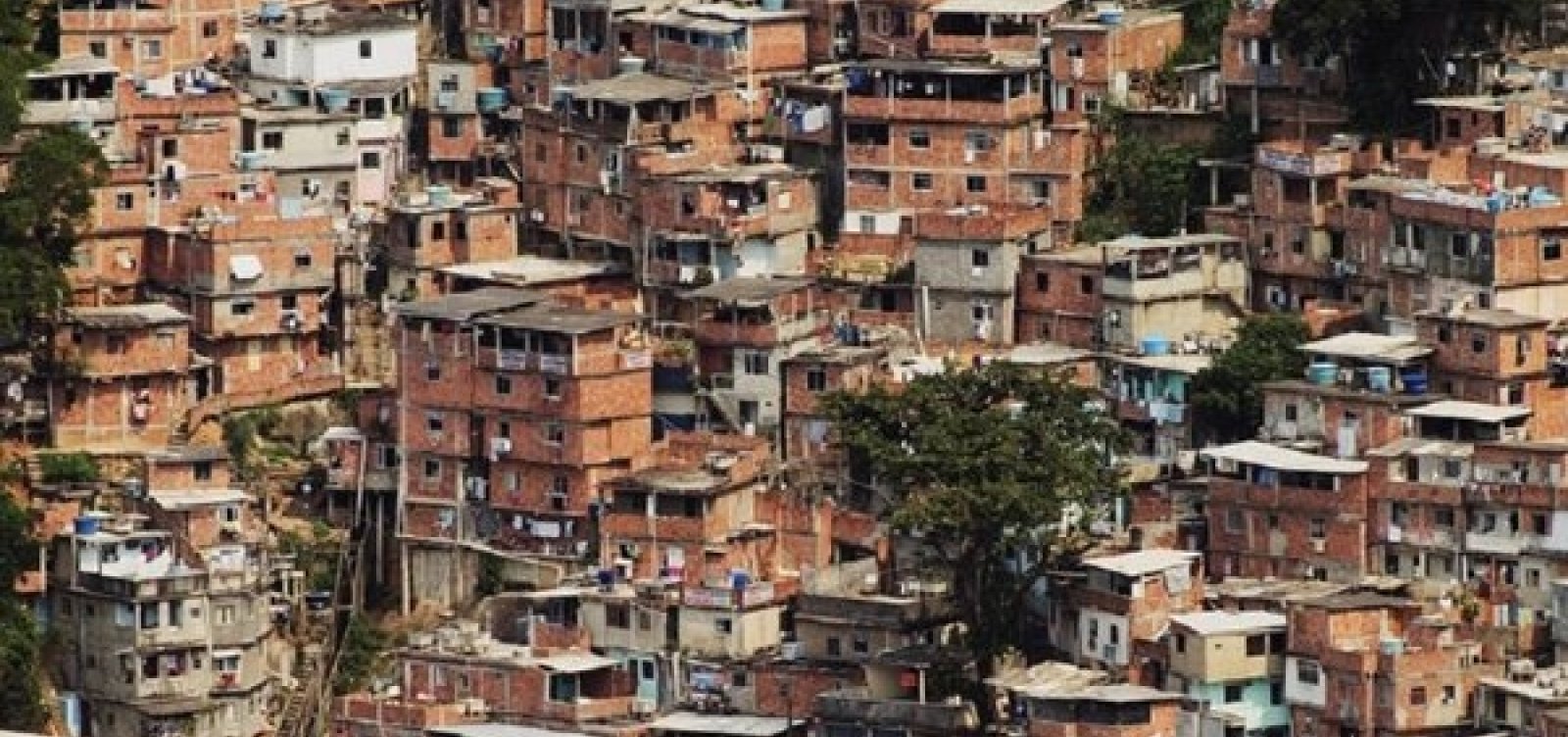 Triste Bahia: o horror, o horror