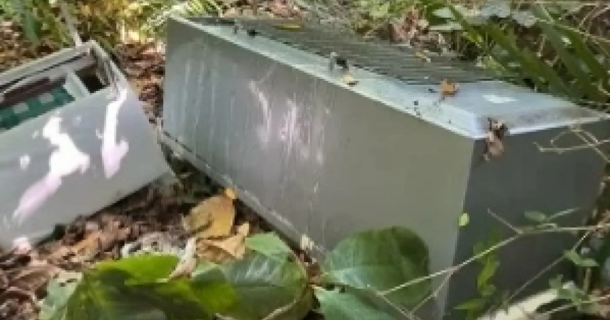 Homem mata sogra com a ajuda de namorada de 13 anos e esconde corpo em geladeira, diz polícia de Maceió