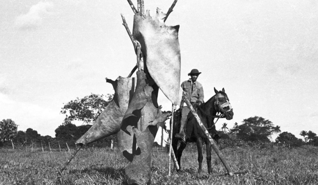 Carta-convocação pela cultura em Feira